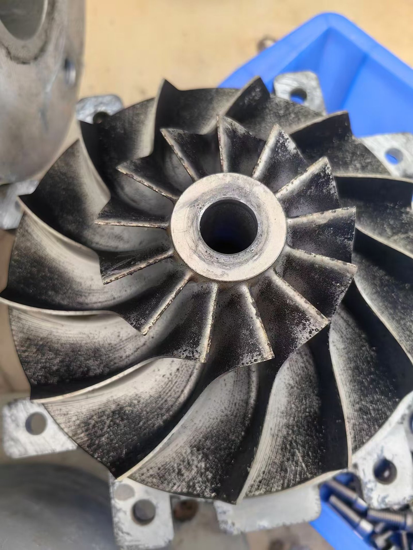 微信图片_202411141414192