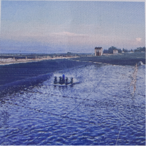 【深圳拓思】--湛江某养虾基地在永磁高速增氧机的前后对比